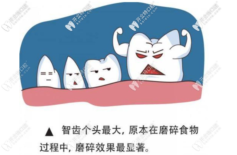 牙齒修復